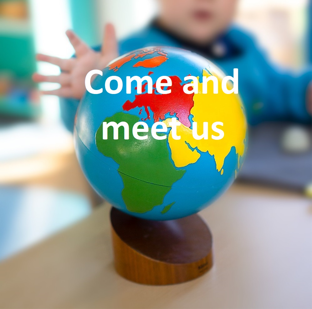 Contact Us